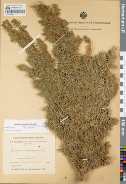 LE 01191496
