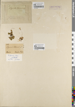 LE 01191294