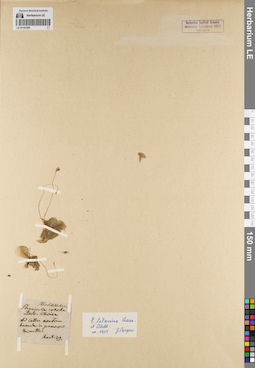 LE 01191295