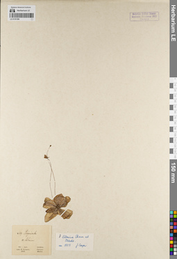 LE 01191296