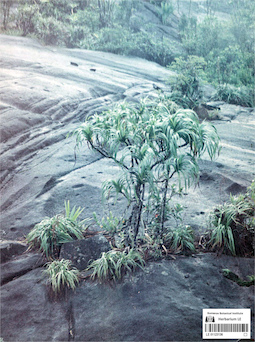 LE 01123136