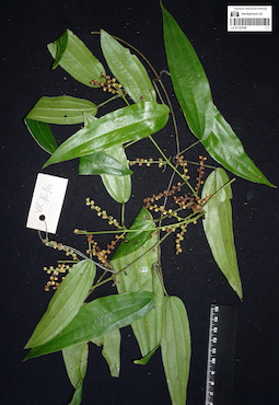LE 01123169