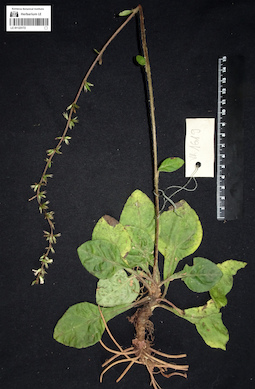 LE 01123172