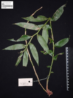 LE 01123252