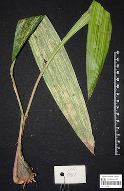 LE 01123320