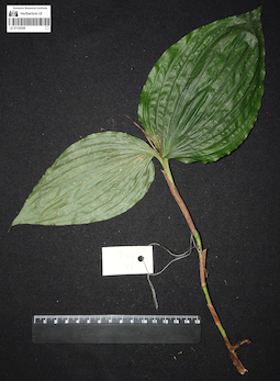 LE 01123345