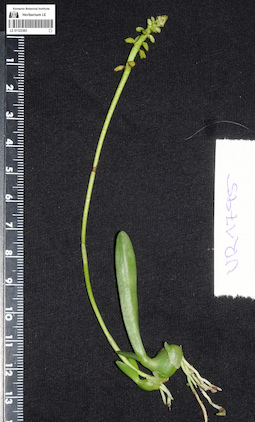 LE 01123363