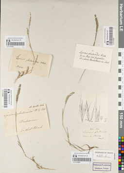 LE 01163804