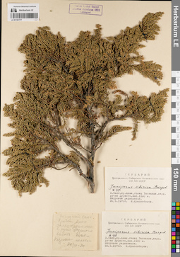 LE 01191777