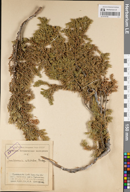 LE 01191793
