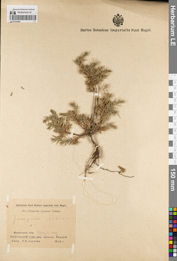 LE 01191801