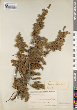 LE 01191837