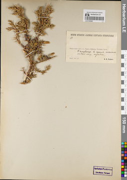 LE 01191842