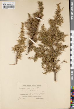 LE 01191901