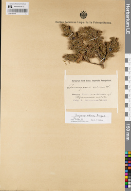 LE 01191914