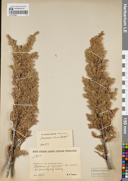 LE 01191922