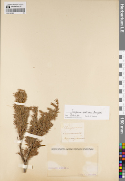 LE 01191923