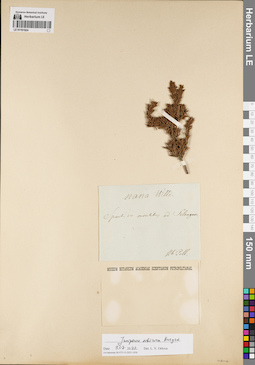 LE 01191924