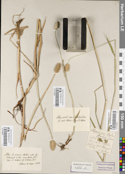LE 01164003