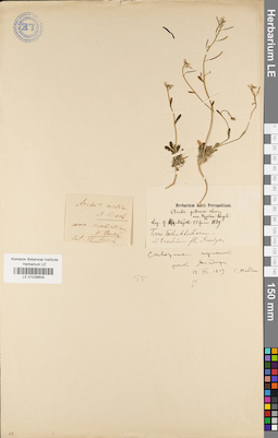LE 01038609
