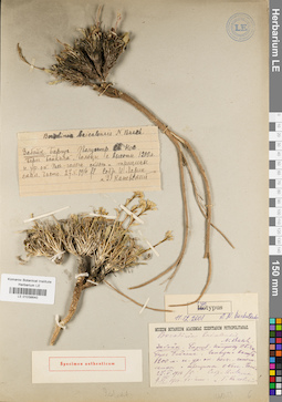 LE 01038640
