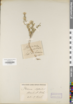 LE 01038646