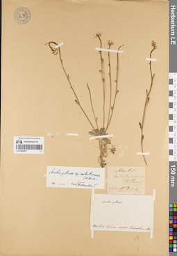 LE 01082827
