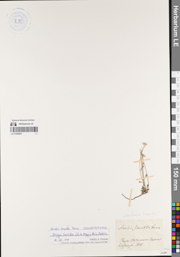 LE 01082828
