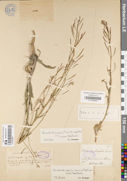 LE 01082829