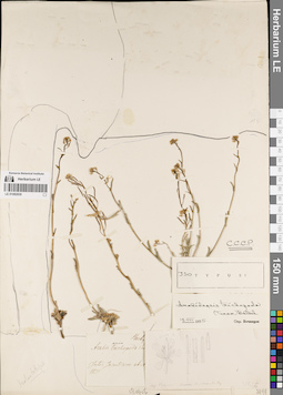 LE 01082830