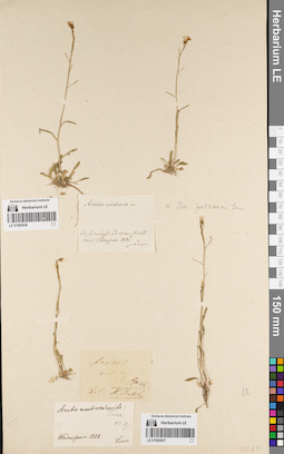 LE 01082837