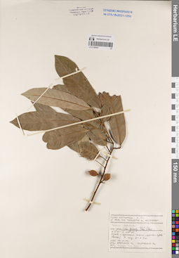 LE 01168659