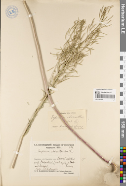 LE 01082840