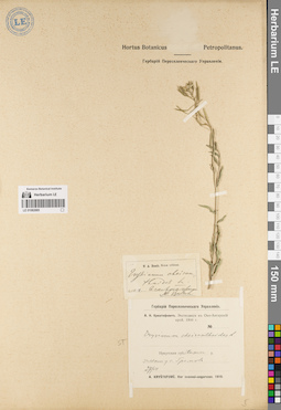 LE 01082885