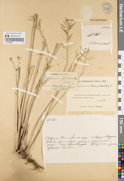 LE 01082888