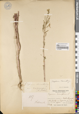 LE 01082890