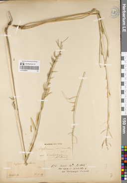 LE 01082891