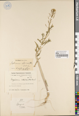 LE 01082892