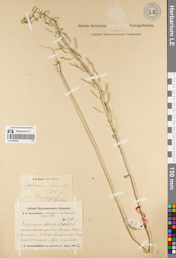 LE 01082893