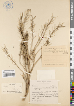 LE 01082897