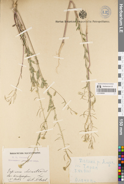 LE 01082904