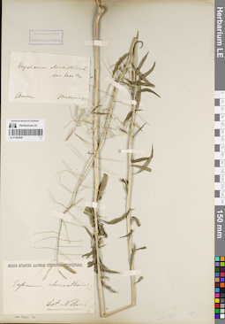 LE 01082908