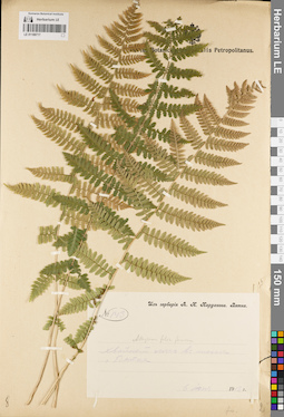 LE 01188717
