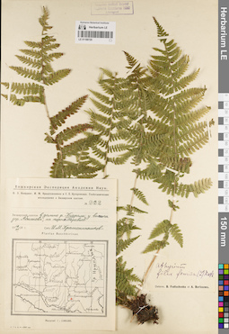 LE 01188720
