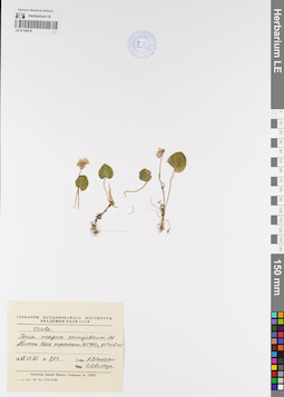 LE 01106316