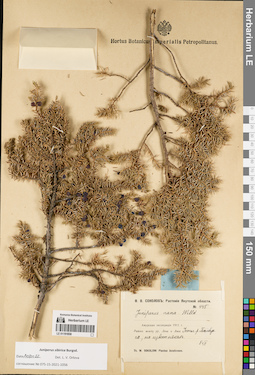 LE 01191858