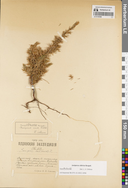 LE 01191859