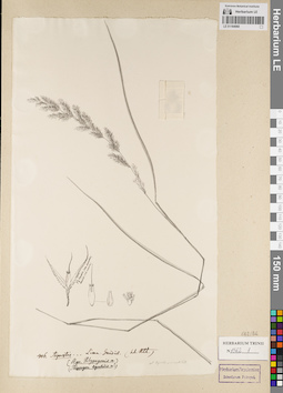 LE 01164060