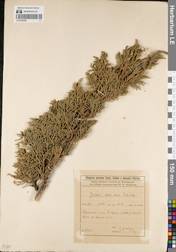 LE 01192328