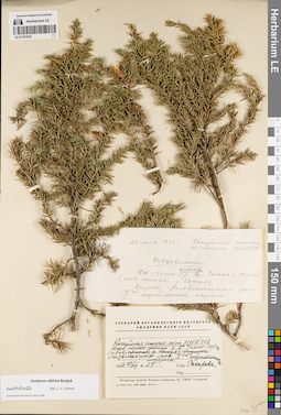 LE 01191874